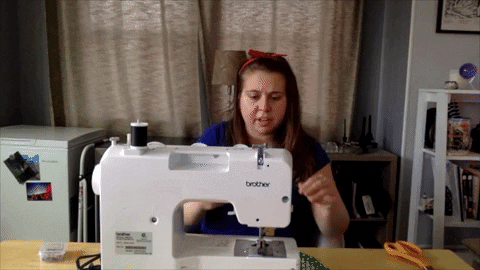 BDN_sschipani giphygifmaker GIF