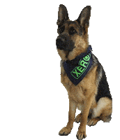 xeroproducts xero window cleaning xeroproducts xerovega Sticker