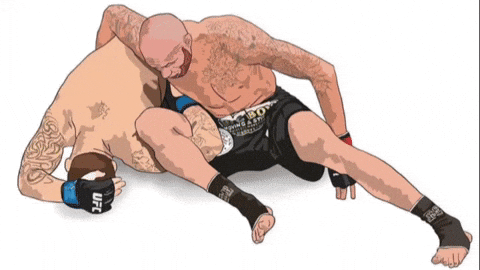 GIF by The Hive MMA