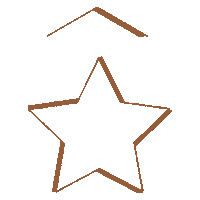 Logo Star Sticker by Ster in Wonen