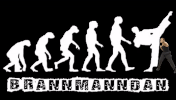 martial arts karate GIF
