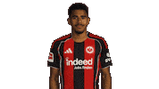 Eintracht Frankfurt Sticker by Bundesliga