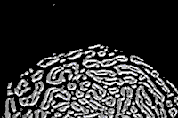 video art brain GIF by J. Robinson