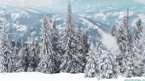 Good Morning Snow GIF by echilibrultau