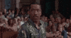 Movie gif. Obba Babatunde the interpreter in Born To Be Wild, sits on a bench pointing at a crowd behind him, as he gives someone a serious look and says, "Right."