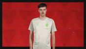 Werder Bremen Football GIF by Bundesliga