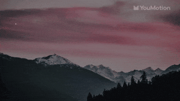 Liquid transition pack graphics pack studio animation