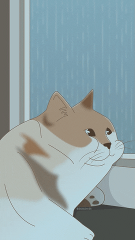 dodeldoodle giphyupload cat relax calm GIF