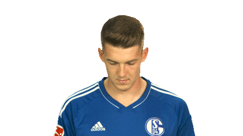 Schalke S04 Sticker by Bundesliga
