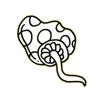 Doodle Lsd Sticker by Dan Flow Art