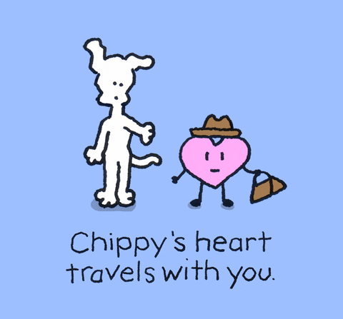 i love you GIF by Chippy the dog