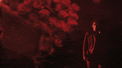 Music Video Fight GIF by Des Rocs