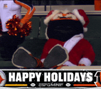 Regular Season Football GIF by NFL