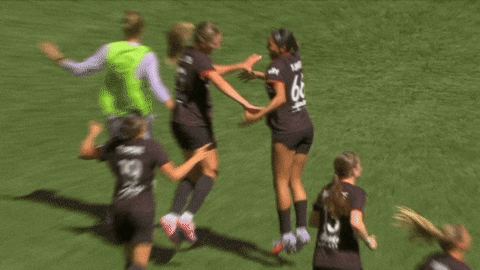 Goalcelebration GIF by National Women's Soccer League