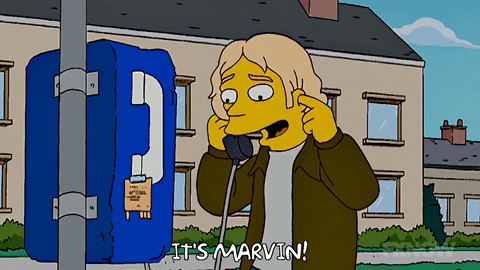 Episode 11 GIF by The Simpsons