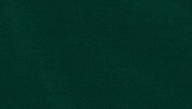 BursasporBursaspor football soccer champion spor GIF