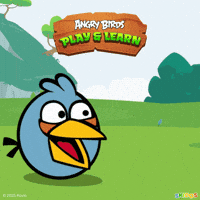 Angry Birds Kids Games GIF by SKIDOS