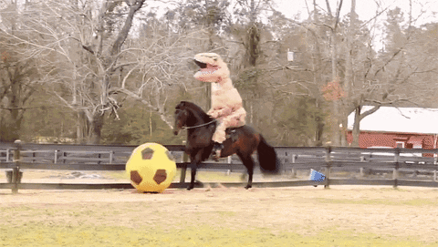 Soccer Horse GIF