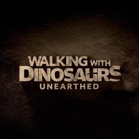 GIF by PBS Digital Studios