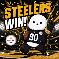 Winning Pittsburgh Steelers GIF by Kanpai Pandas