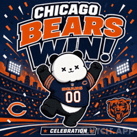 Winning Chicago Bears GIF by Kanpai Pandas