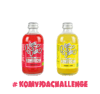 Lemon Ginger Sticker by Komvidakombucha