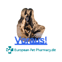 Ma Sticker by Europeanpetpharmacy