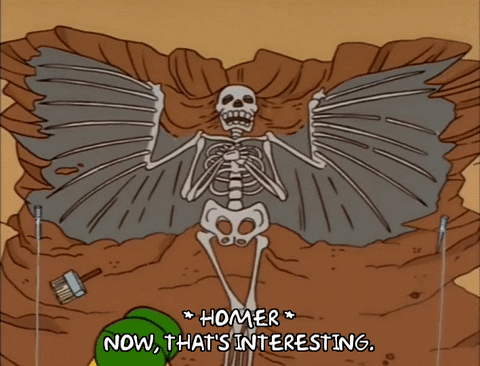 season 9 skeleton GIF
