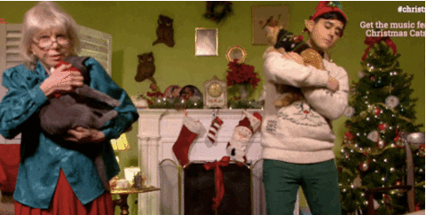 Video gif. Older woman and a younger man in festive attire awkwardly dance with a cat in each of their arms. The cats are wearing Christmas sweaters.