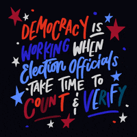 Election 2020 Go Vote GIF by Creative Courage