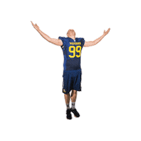 Jj Sticker by Helsinki Wolverines