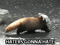red panda firefox GIF