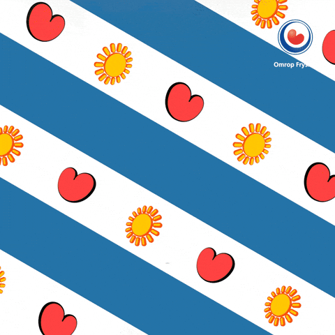 Whats Happening What GIF by Omrop Fryslân