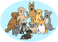 bad dog lol Sticker by Dog Candy