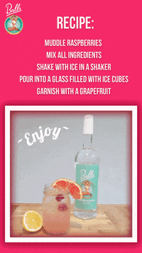 BallsVodka vodka ballsvodka vodka recipe GIF