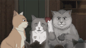 mark duplass cats GIF by Animals