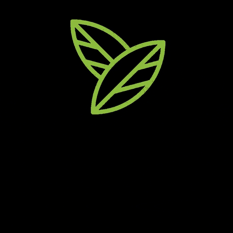 Kafejeto giphygifmaker kafejeto cafejeto kawiarnia kafejeto GIF