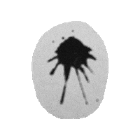 Marca Black And White Sticker by jorgemariozuleta