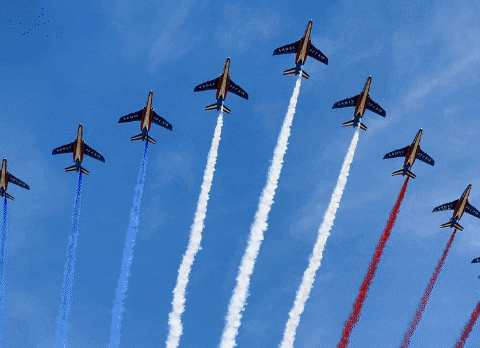 alexandregoldfarb giphygifmaker reprenons notre france GIF