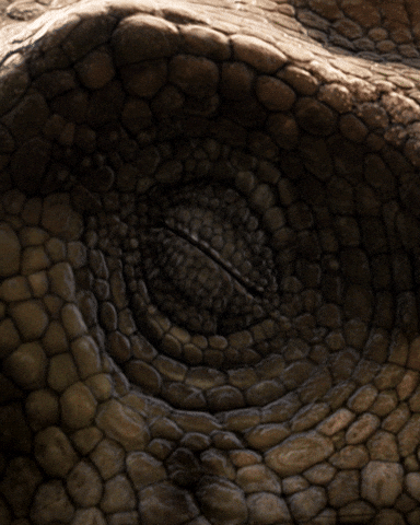 Staring I See You GIF by PBS