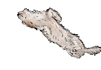 Dog Sticker
