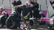 Formula 1 Motorsport GIF by BWT Racing Point F1 Team