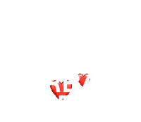 Bakfiets Sticker by Urban Arrow NL