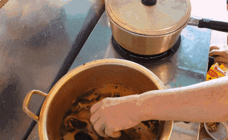 jseinyyi giphyupload GIF