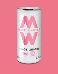 Party Festival GIF by Most Wanted Wines