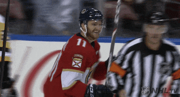 Ice Hockey Sport GIF by NHL