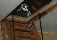 Panda Unsettling GIF by Endangered Labs