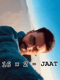 Systumm GIF