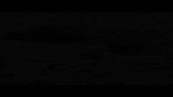 Video Sea GIF by TheFactory.video