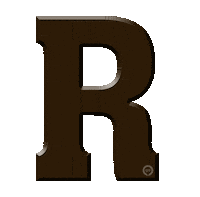 5 December Chocolate Sticker by Omroep Gelderland